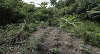 O corpo do homem foi encontrado em um terreno baldio em Abreu e Lima