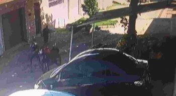 O policial prestou depoimento no Departamento de Homicídios e Proteção à Pessoa (DHPP) e foi liberado.