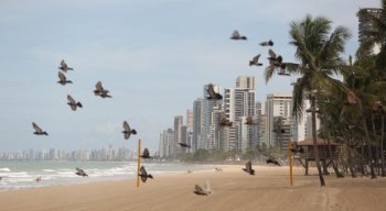 Isolamento total ajudaria a reduzir o avanço do coronavírus nessas cidades
