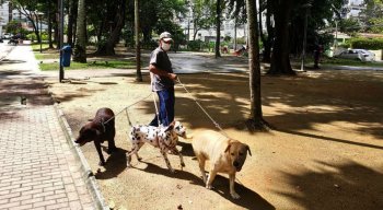 Bruno passeia com seus cães na Praça dos Cachorros, Jaqueira, Zona Norte do Recife