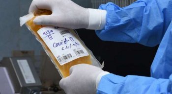 Quem tiver mais de 18 anos, for do sexo masculino e tiver se recuperado do novo coronavírus há mais de 30 dias pode doar
