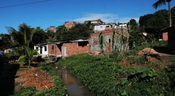 Cinco pessoas foram assassinadas na madrugada de hoje. Três em Camaragibe e duas em São Lourenço. Segundo a polícia as mortes tem ligação pois todos os mortos são de São Lourenço.