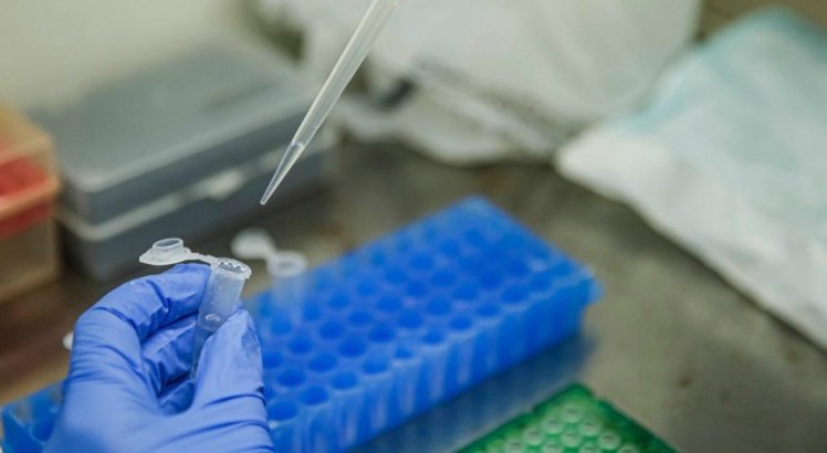 Teste PCR pode identificar mutação em câncer? Saiba o que dizem pesquisadores