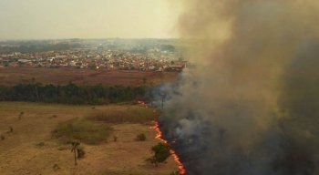 Parlamentares defenderam o Estatuto do Pantanal
