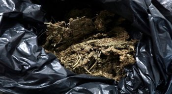 A droga foi apreendida dentro de um caminhão baú