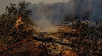 Mais de 40 bombeiros da Força Nacional de Segurança Pública já atuam desde o dia 24 de setembro na região pantaneira.