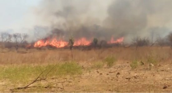 Fogo continua a atingir áreas do Sertão