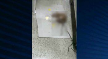 As imagens do Hospital Otávio de Freitas foram enviadas por telespectadores da TV Jornal