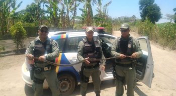 Polícia resgata cobra peçonhenta no Agreste de Pernambuco