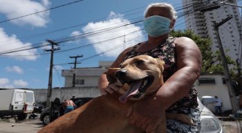 Prefeitura do Recife realiza vacinação antirrábica, neste sábado (7), na Ilha do Retiro, Afogados e Mangueira