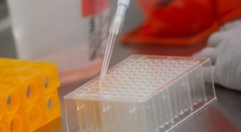 Pernambuco totaliza 195.118 casos confirmados do novo coronavírus