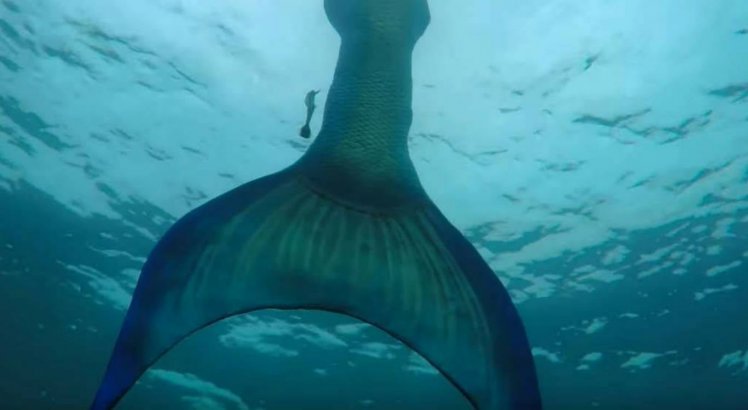Sereia