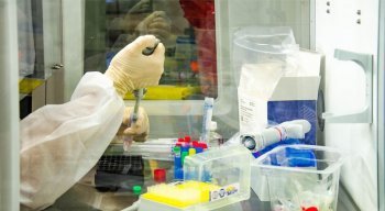 O total de vidas perdidas para a pandemia subiu para 207.095