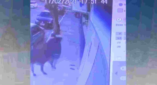 O homem foi acertado pelo boi na calçada