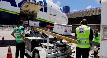 Novas doses de vacinas contra a Covid-19 chegam a Pernambuco.