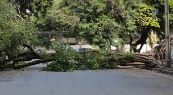 Agentes da CTTU fecharam a rua por causa do acidente.
