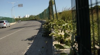 Mesmo após cinco anos de inaugurada, a Via Mangue, localizada na Zona Sul do Recife, reflete o descaso do poder público,