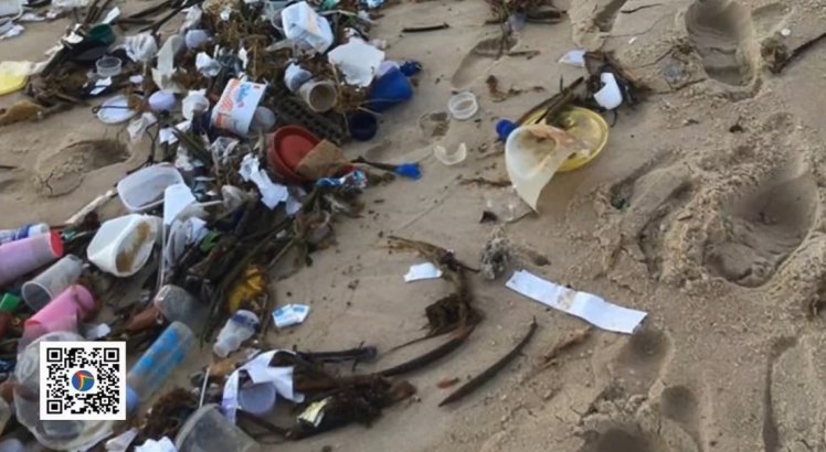 Aparecimento de lixo em várias praias do litoral nordestino chama atenção de moradores e órgãos ambientais