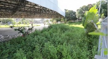 O Terminal Integrado Cosme Damião, localizado no bairro da Várzea, na Zona Oeste do Recife, vem sofrendo com abandono e acumula diversos problemas