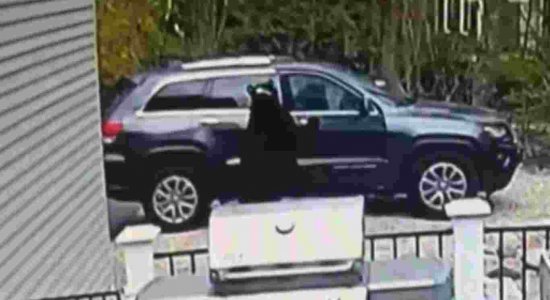 Ursos abrem porta e entram em carro