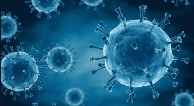 Novo coronavírus infecta e se replica em glândulas responsáveis pela saliva, diz pesquisa
