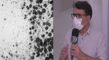 Demetrius Montenegro durante entrevista para o repórter Michael Carvalho, no TV Jornal Meio-Dia