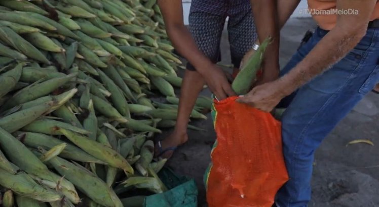 São João: Começa a funcionar corredor do milho em Olinda; veja pontos de venda e o preço da mão