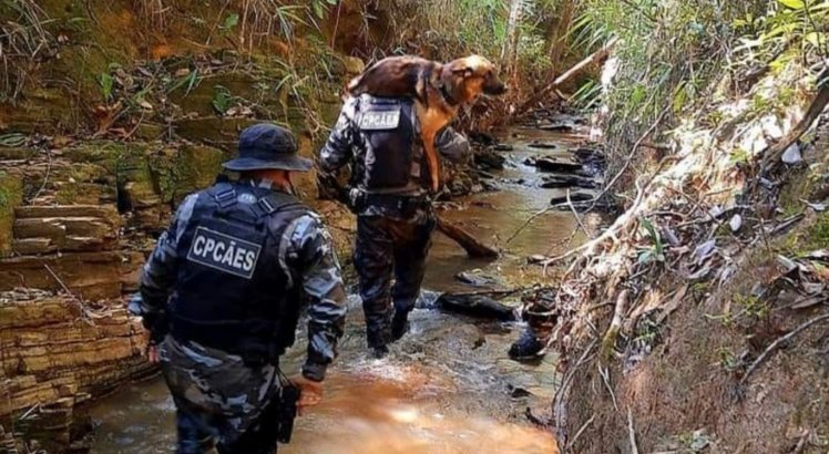 O cachorro que ajudava nas buscas por Lázaro Barbosa foi carregado pelos policiais