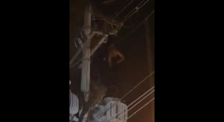 Jovem tenta roubar cabo e fica preso pelo pé na rede elétrica; veja vídeo