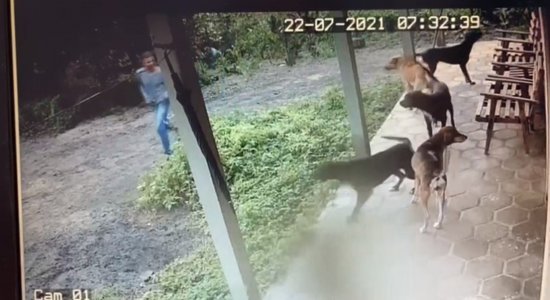 Os assaltantes invadiram a casa em Jucati, no Agreste
