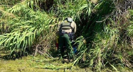 Uma menina e um bebê de colo foram encontrados por agentes