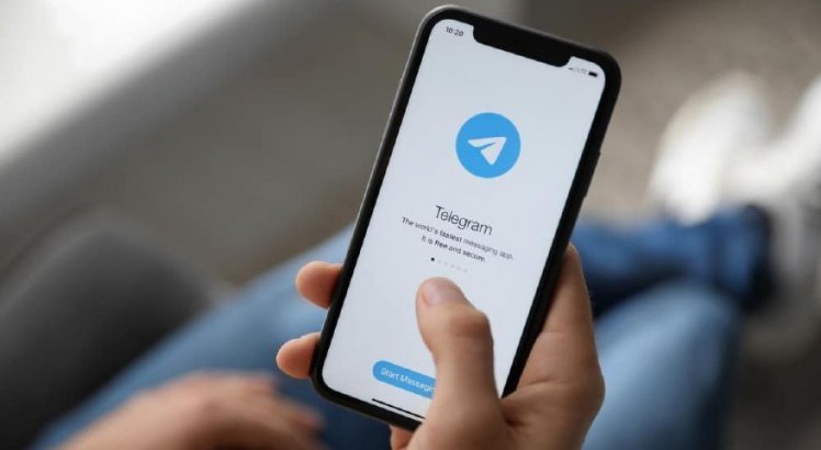 Telegram recebe determinação do STF : r/brasilivre