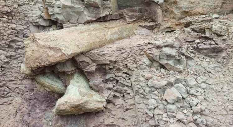 Pedaço de osso de dinossauro encontrado em Davinópolis, no Maranhão