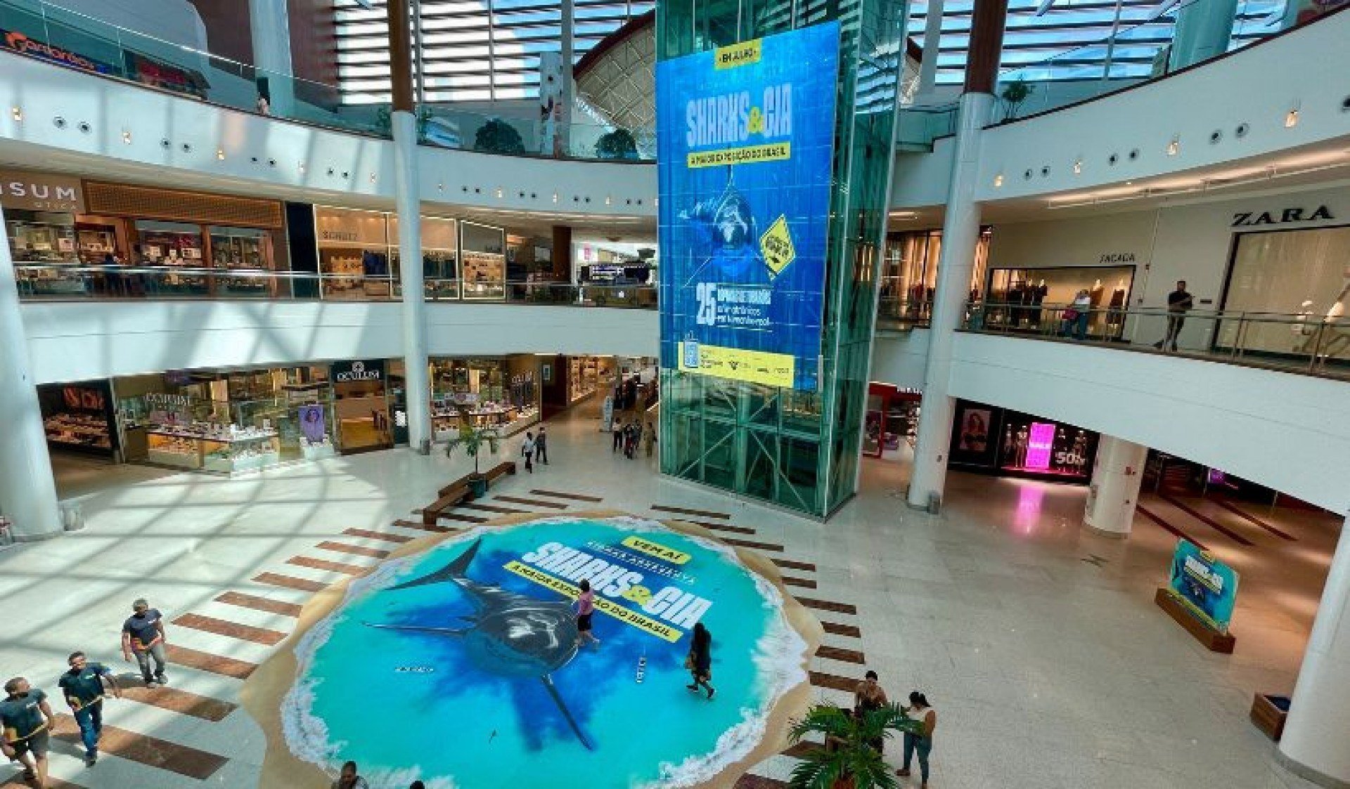 Vem aí a exposição Sharks & Cia