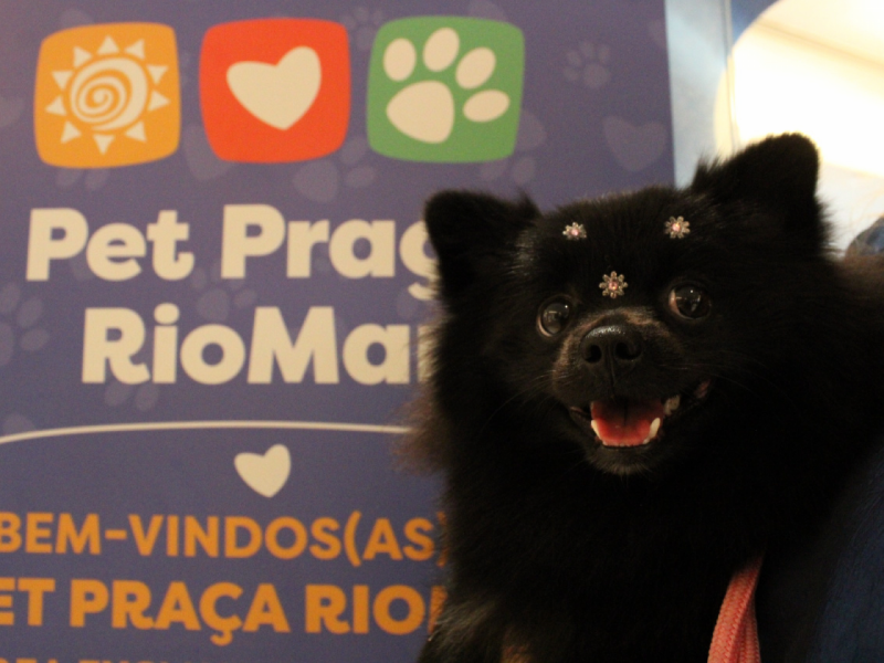 Thays Martins/RioMar Recife