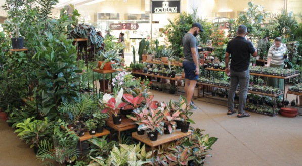 Feira Atmosphera