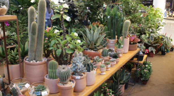Feira Atmosphera