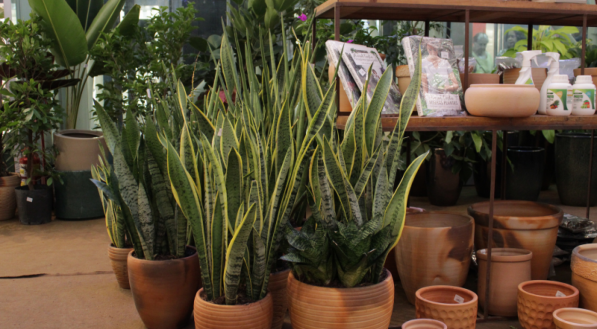 Feira Atmosphera