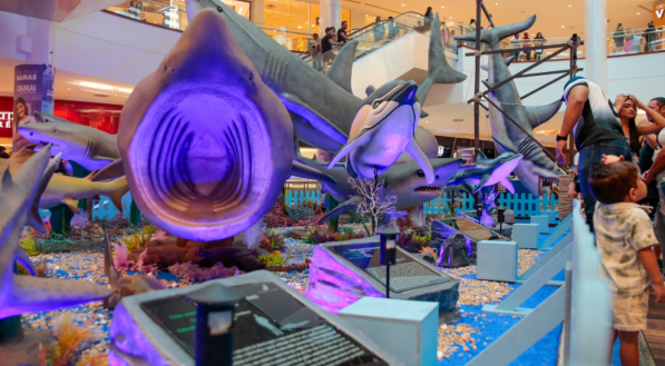 Sharks &amp; Cia. 