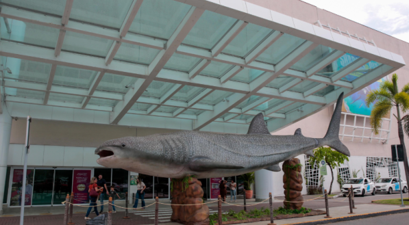 Sharks &amp; Cia na Diagmax.