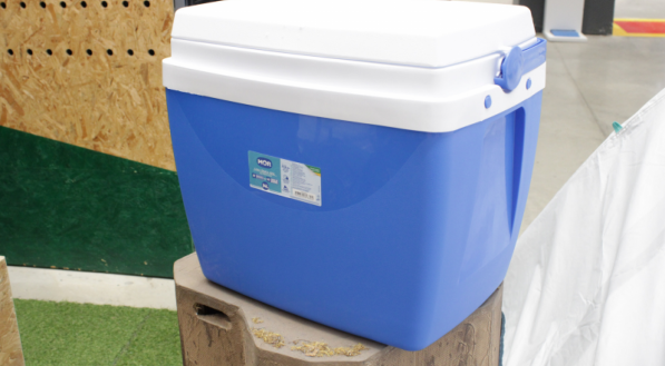 Cooler em cima de um toco de madeira. 