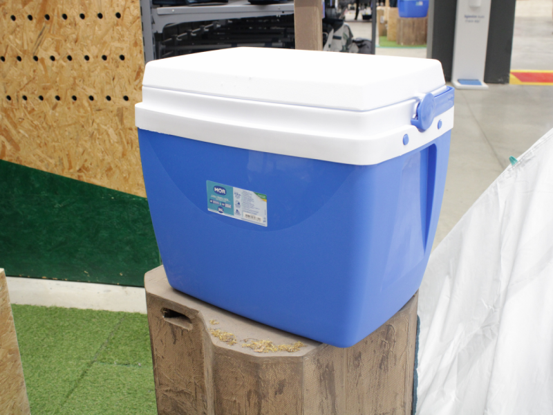 Cooler em cima de um toco de madeira. 