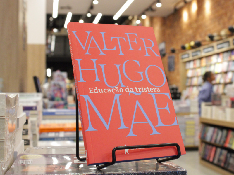 A imagem mostra o livro 