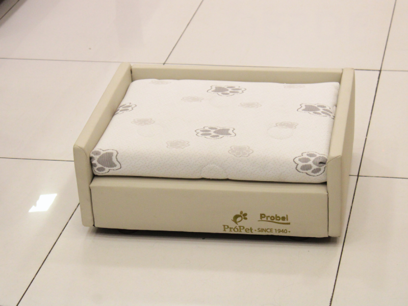 Foto: Thays Martins/RioMar Recife