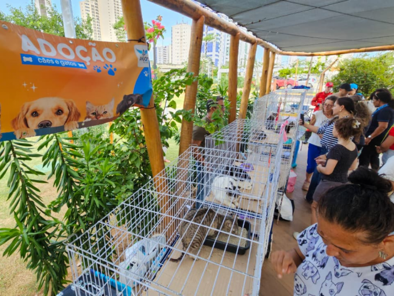 Vista lateral das gaiolas de gatos para adoção, alinhadas sob um banner laranja que anuncia "Adoção cães e gatos".