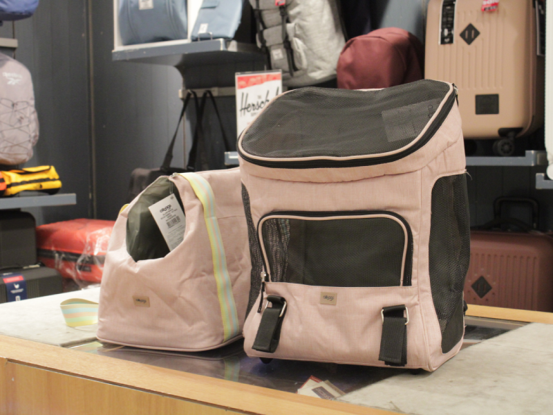 Foto: Thays Martins/RioMar Recife