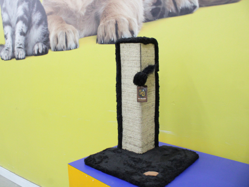 Foto: Camile Barros/RioMar Recife