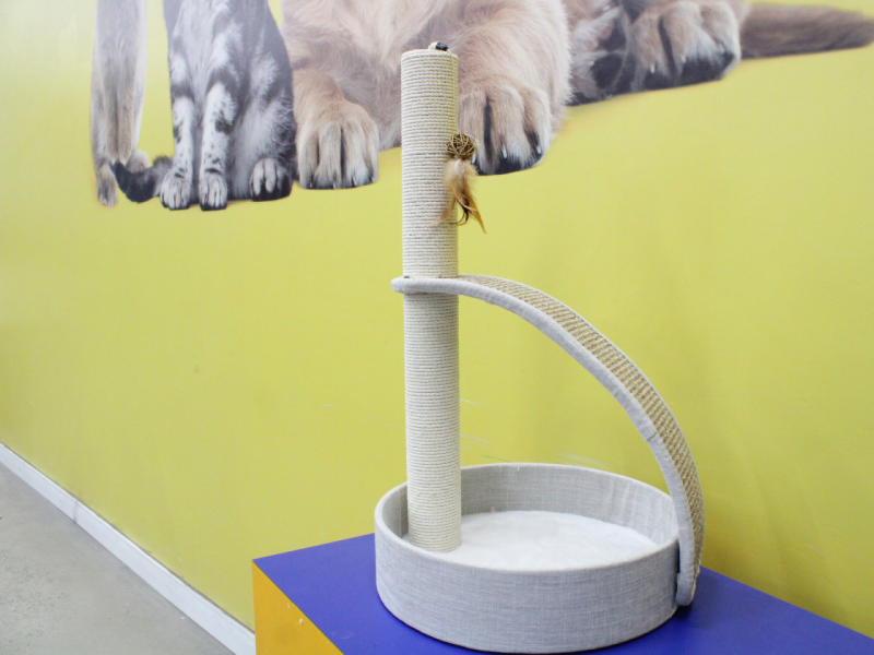 Foto: Camile Barros/RioMar Recife