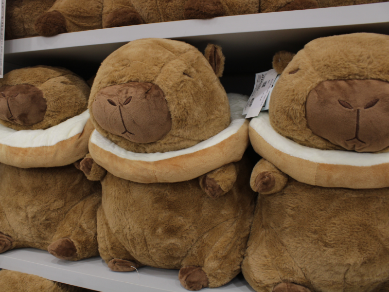 A imagem mostra três pelúcias de capivara, de cor marrom e com um acessório branco em volta do pescoço.