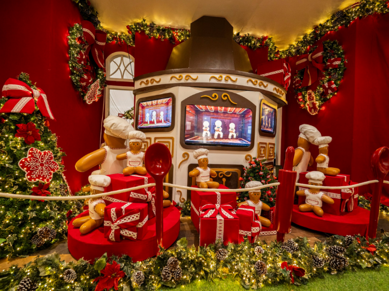 Foto: Heudes Regis/especial para Recife Recife